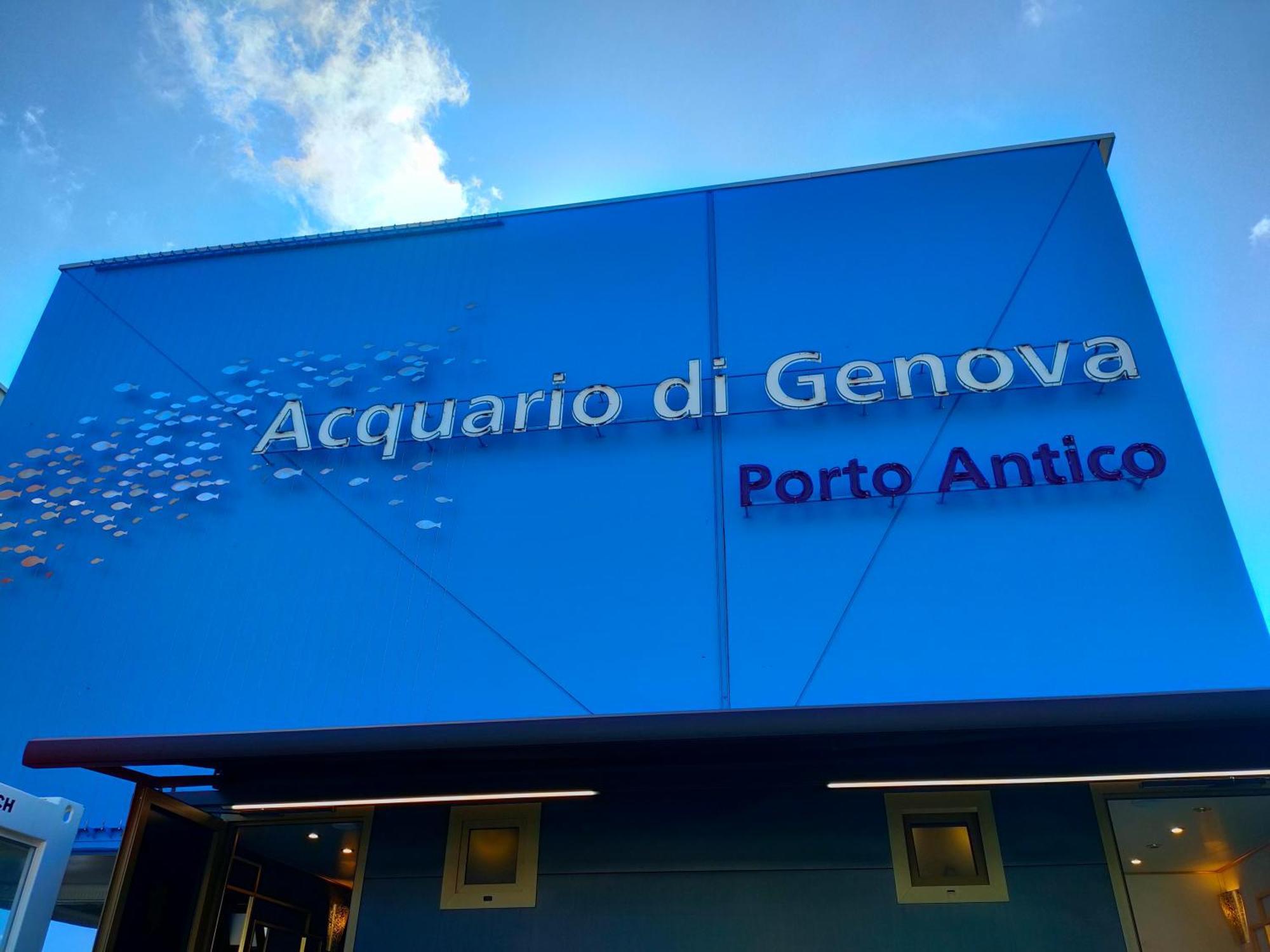 Rooms Ponte Calvi Genua Zewnętrze zdjęcie